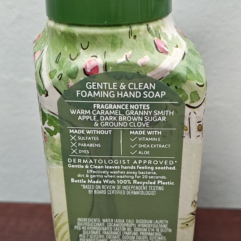 Bath & Body Works EARLY FALL 5 Piece Foaming Hand Soap Bundle - Picture 3 of 7